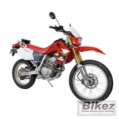2011 Xingyue XY250GY photo